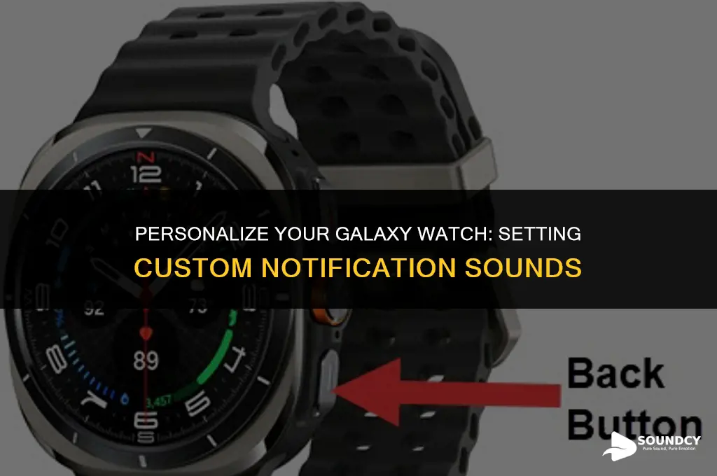 how to set custom notification sound on galaxy watch