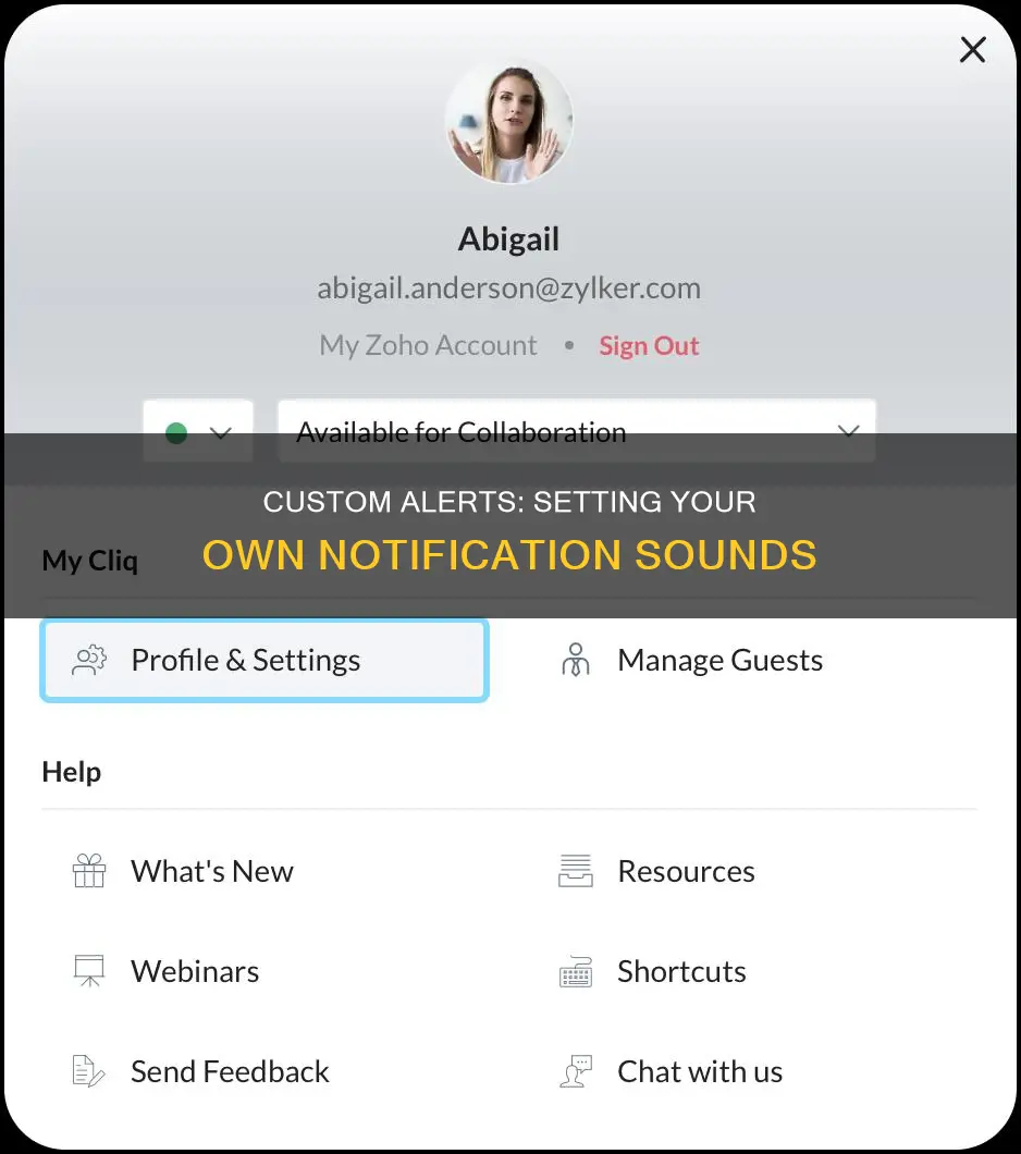 how to set custom notification sound