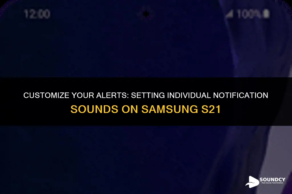 how to set individual notification sounds on samsung s21