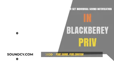 Customize Your BlackBerry Priv: Setting Individual Sound Notifications