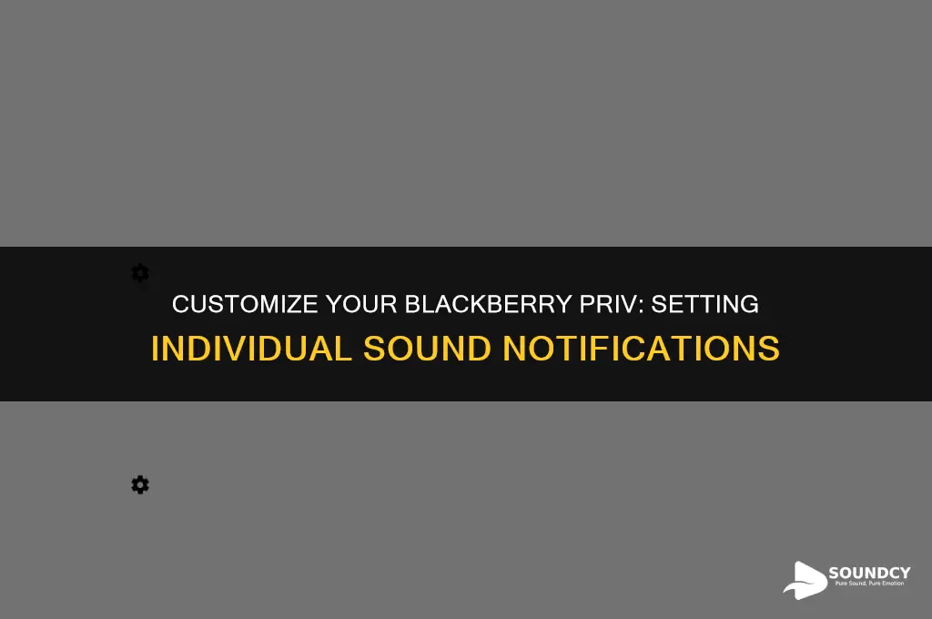 how to set individual sound notification in blackberey priv