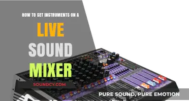 Mastering Live Sound: A Guide to Setting Instruments on a Mixer
