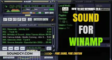 Customize Your Winamp Experience: Setting Keybinds to Sounds