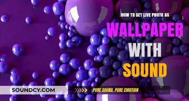 Bring Your Screen to Life: Setting Live Photos as Wallpapers with Sound