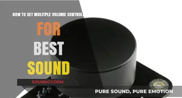 Mastering Audio: Tips for Setting Multiple Volume Controls