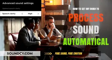 Automatically Process Sound on Roku: A Step-by-Step Setup Guide