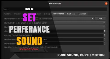 Mastering Audio Settings: A Guide to Setting Sound Preferences