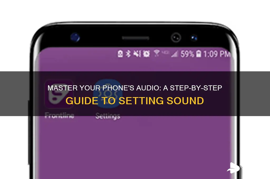 how to set phone sound