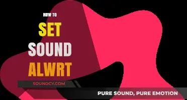 Mastering Sound Alerts: A Step-by-Step Guide to Setup and Customization