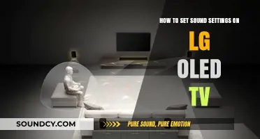Mastering Audio: A Guide to Sound Settings on LG OLED TVs