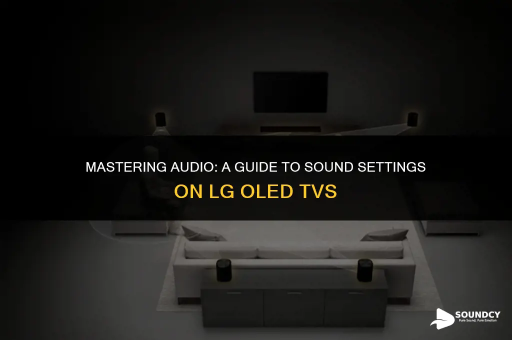how to set sound settings on lg oled tv