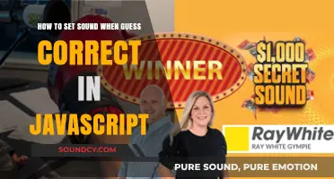 Crafting Auditory Feedback: Correct Guess Sounds in JavaScript