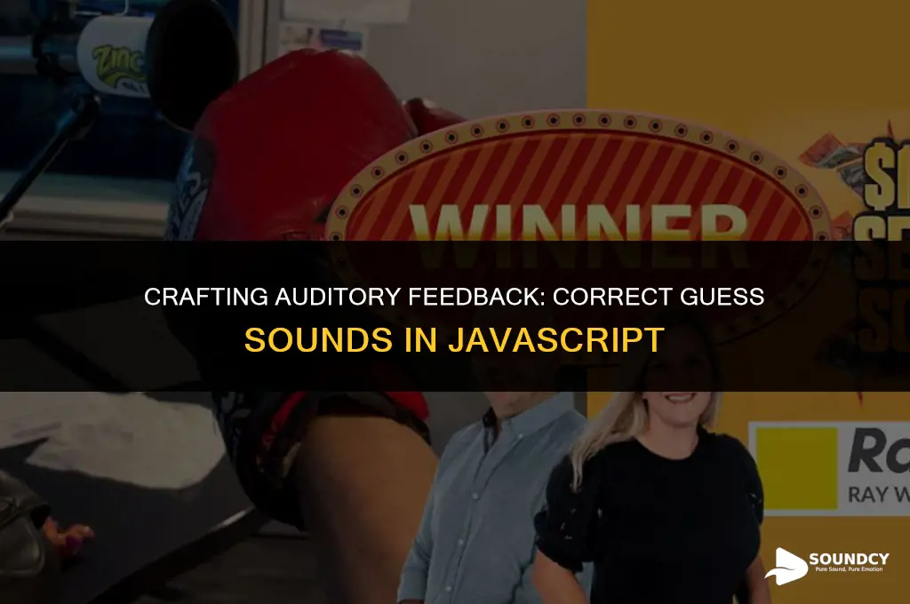 how to set sound when guess correct in javascript