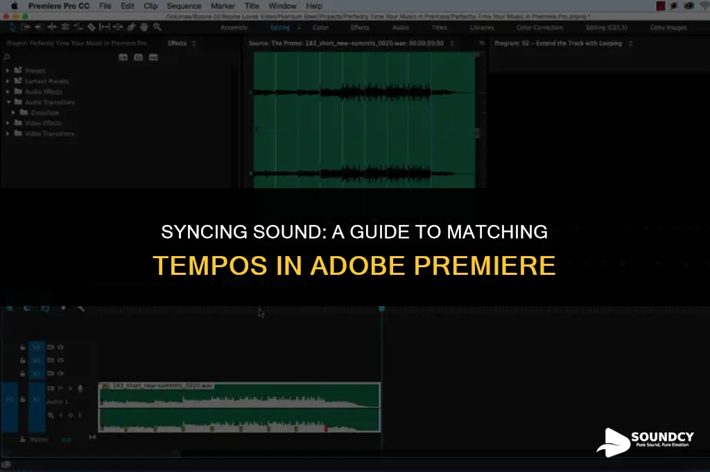 how to set sounds to same tempo adobe premeir