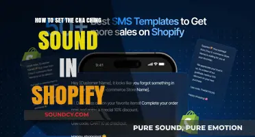 Customize Your Shopify Store: Adding a Cha-Ching Sound Effect