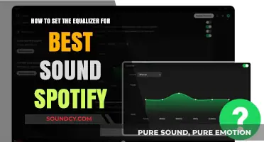 Optimize Your Spotify Sound: A Guide to Perfect Equalizer Settings