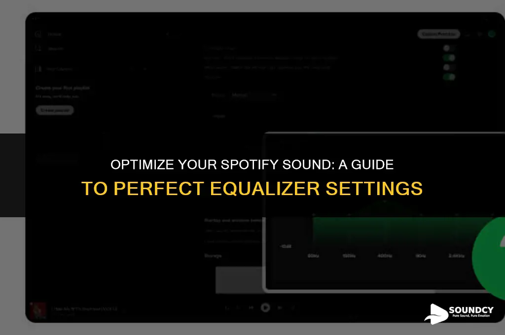 how to set the equalizer for best sound spotify