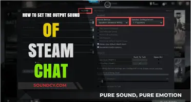 Customize Your Steam Chat Experience: A Guide to Output Sound Settings