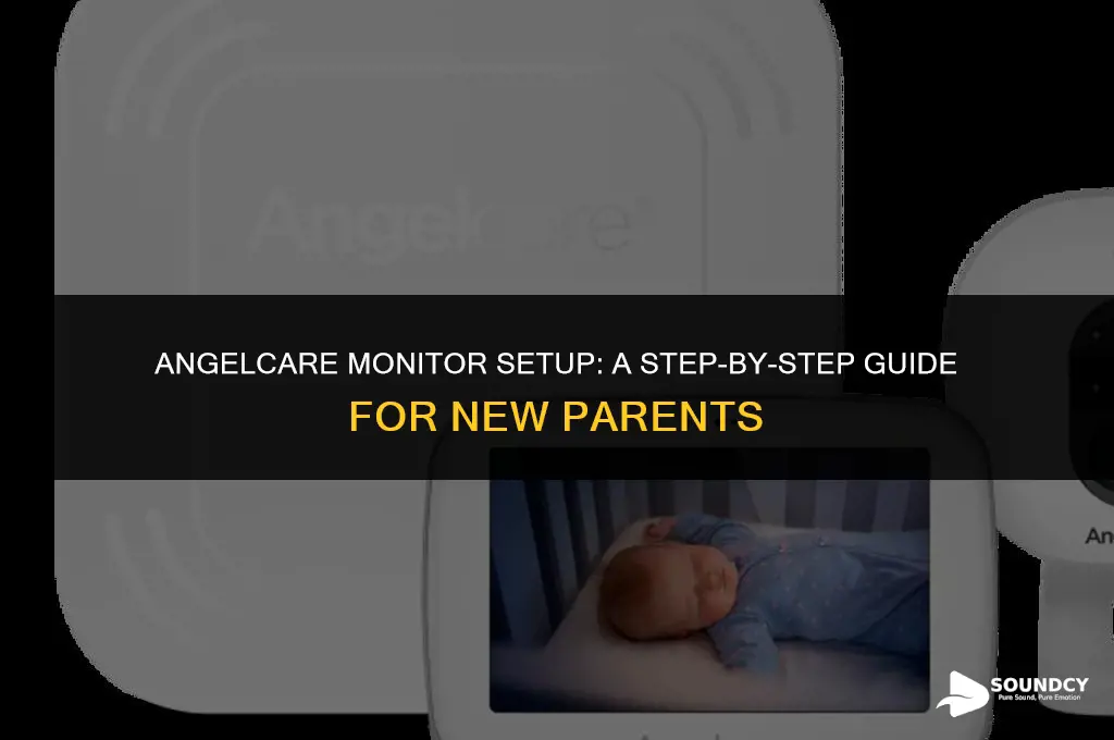 how to set up angelcare movement and sound monitor