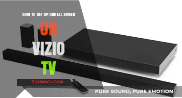 Effortless Audio Setup: Digital Sound on Your Vizio TV