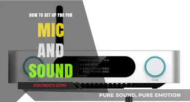 Mastering Audio: A Step-by-Step Guide to Setting Up FiiO for Mic and Sound