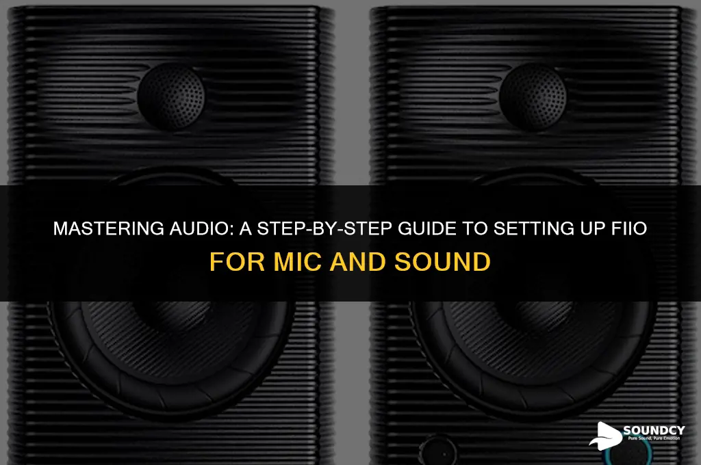 how to set up fiio for mic and sound