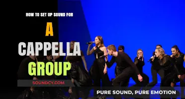 Harmonizing Voices: A Guide to Setting Up Sound for Your A Cappella Group