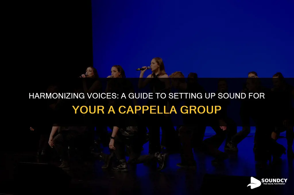how to set up sound for a cappella group