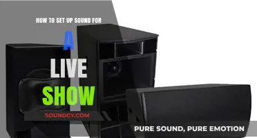 Mastering Live Show Sound: A Step-by-Step Guide