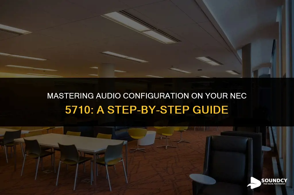 how to set up sound on an nec 5710