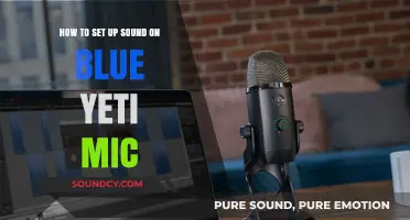 Mastering Audio: A Step-by-Step Guide to Setting Up Your Blue Yeti Mic