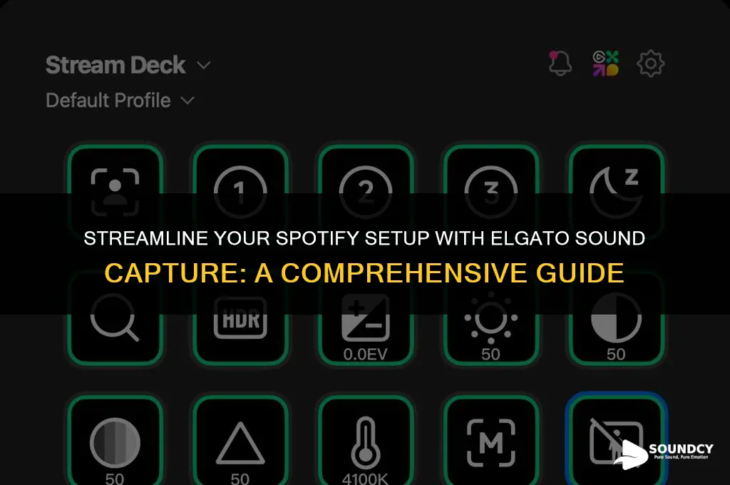 how to set up spotify with elgato sound capture