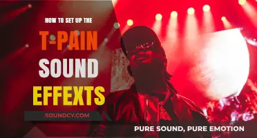 Mastering T-Pain's Signature Sound Effects: A Step-by-Step Guide