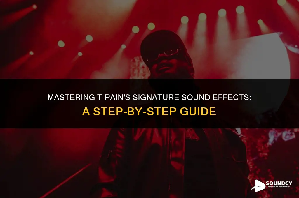 how to set up the t-pain sound effexts