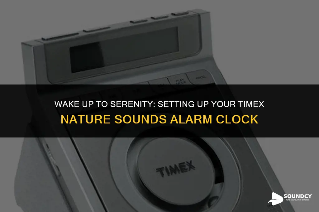how to set up timex nature sounds alarm clock