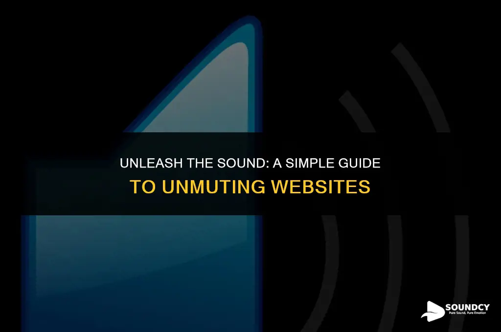 how to set up unmute the sound on website