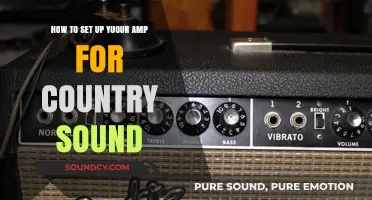 Dialing in the Perfect Country Tone: A Guide to Amp Setup