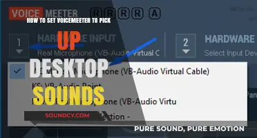 Capturing Desktop Sounds: A Step-by-Step Guide to VoiceMeeter Setup