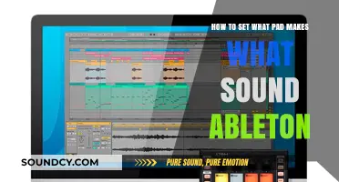 Crafting Sonic Magic: Assigning Pads to Sounds in Ableton
