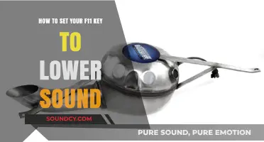 Quick Fix: Assigning Sound Control to Your F11 Key