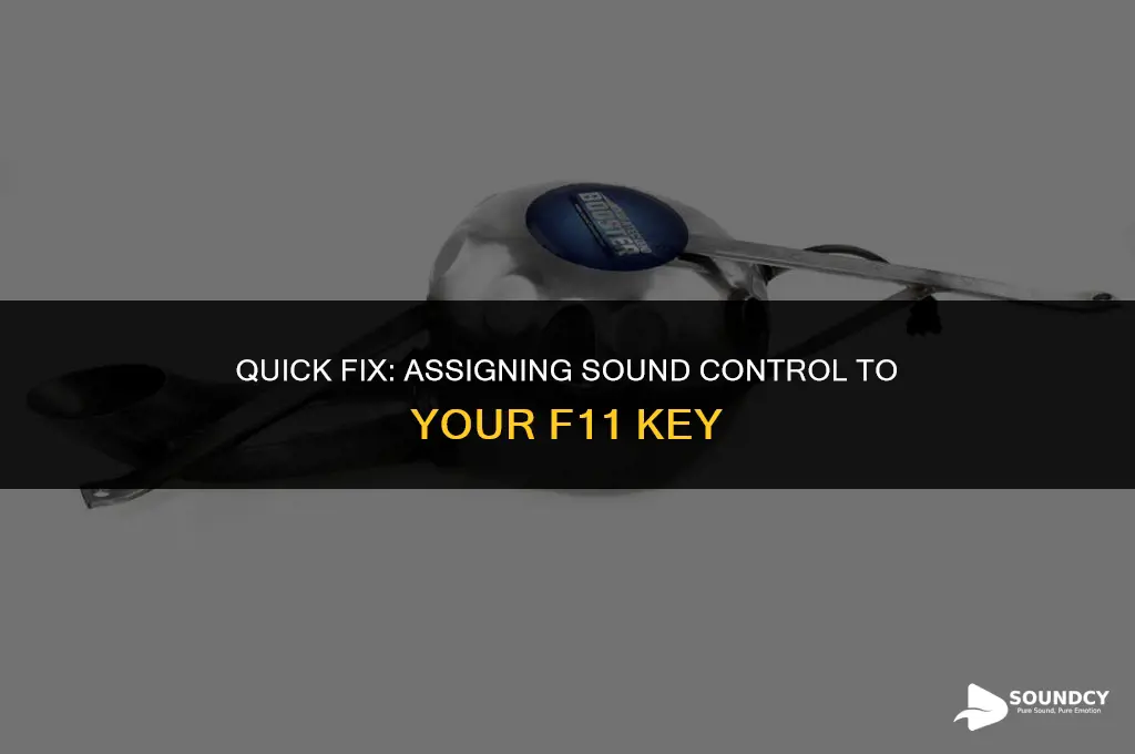 how to set your f11 key to lower sound