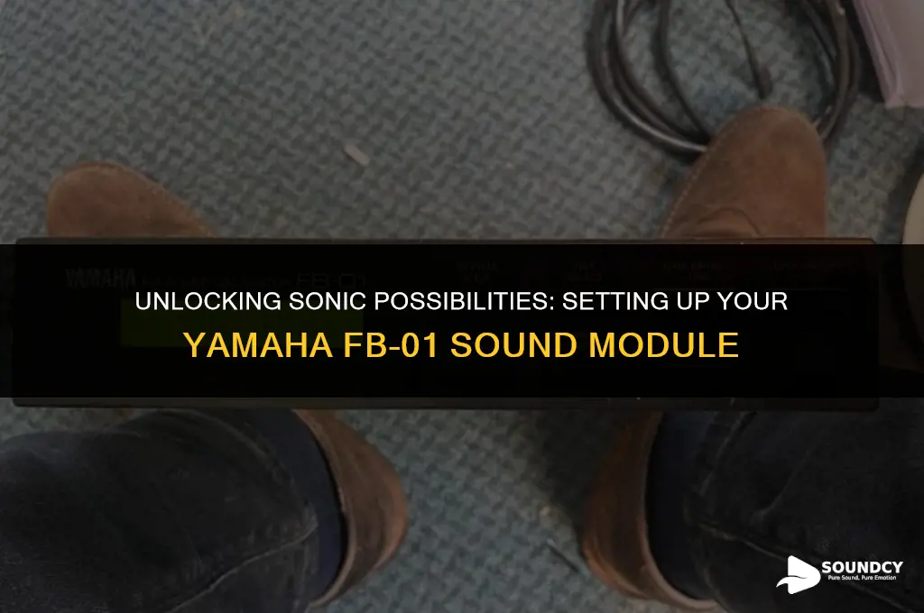 how to setup a yamaha fb 01 sound module