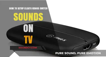 Elgato HD60 S: Mastering Switch Sounds on Your TV Setup