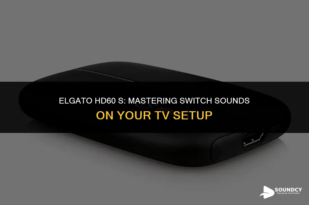 how to setup elgato hd60s switch sounds on tv