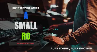 Small Room, Big Sound: A Guide to Live Sound Setup