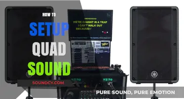 Mastering Quad Sound Setup: A Step-by-Step Guide for Immersive Audio
