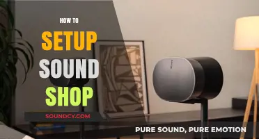 Ultimate Guide to Setting Up Your Profitable Sound Shop Business