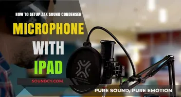 Easy Guide: Setting Up Zax Sound Condenser Mic with iPad