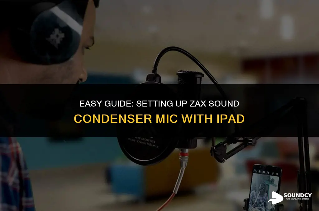 how to setup zax sound condenser microphone with ipad