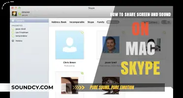 Effortless Screen and Sound Sharing on Mac Skype: A Guide
